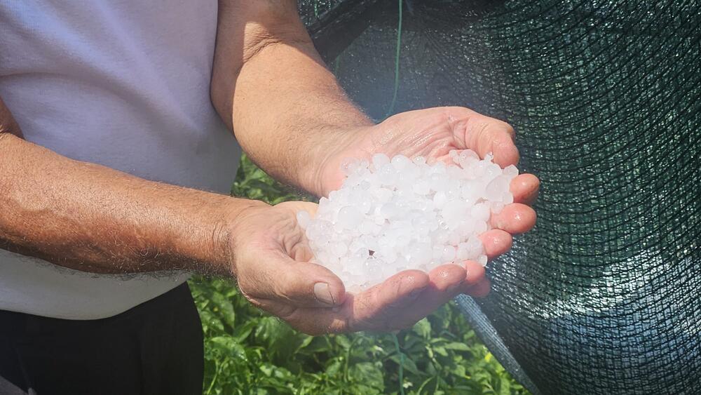Jak grad pogodio ovaj deo Srbije: Uništeni voćnjaci i bašte! Olujno nevreme opustošilo sela (FOTO)