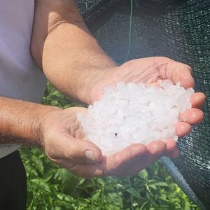 Jak grad pogodio ovaj deo Srbije: Uništeni voćnjaci i bašte! Olujno nevreme opustošilo sela (FOTO)