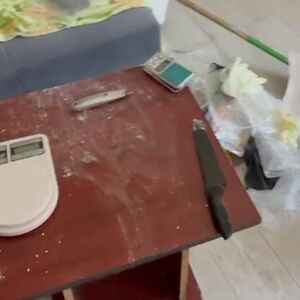Heroin, marihuana i kilogrami spida! Dolijao opasni Novosađanin: Evo i koliko mu je novca zaplenjeno!
