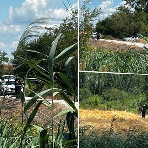 Ronioci Žandarmerije pretražuju kanal u Novom Sadu: Strahuje se da postoji još jedna žrtva stravične nesreće