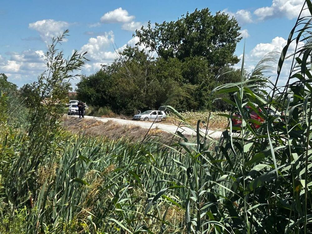 Saobraćajna nesreća u Novom Sadu