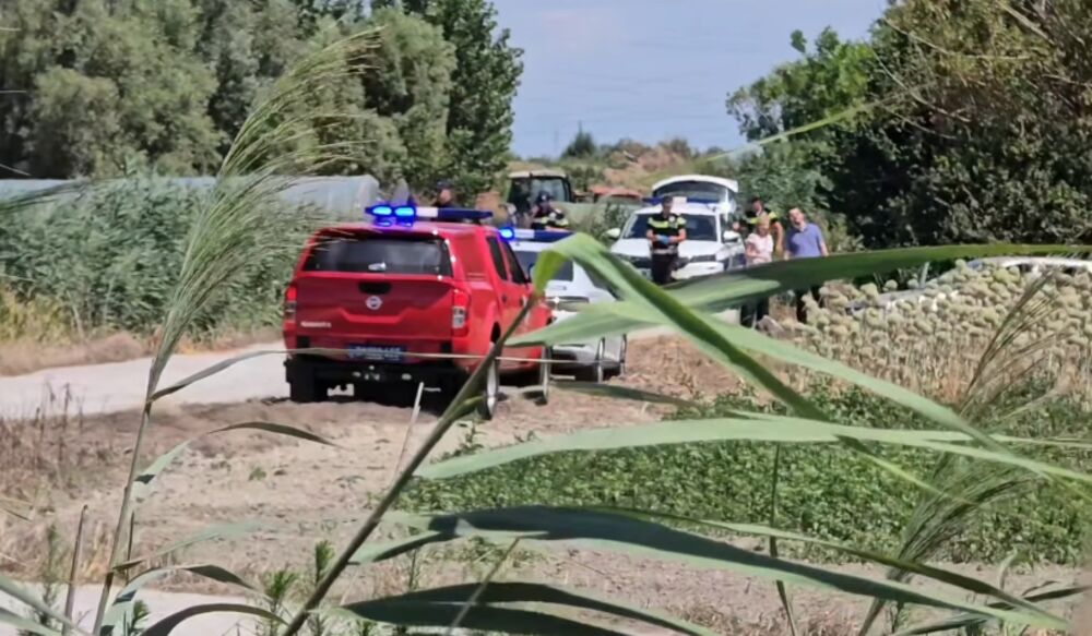 Nesreća u Novom Sadu