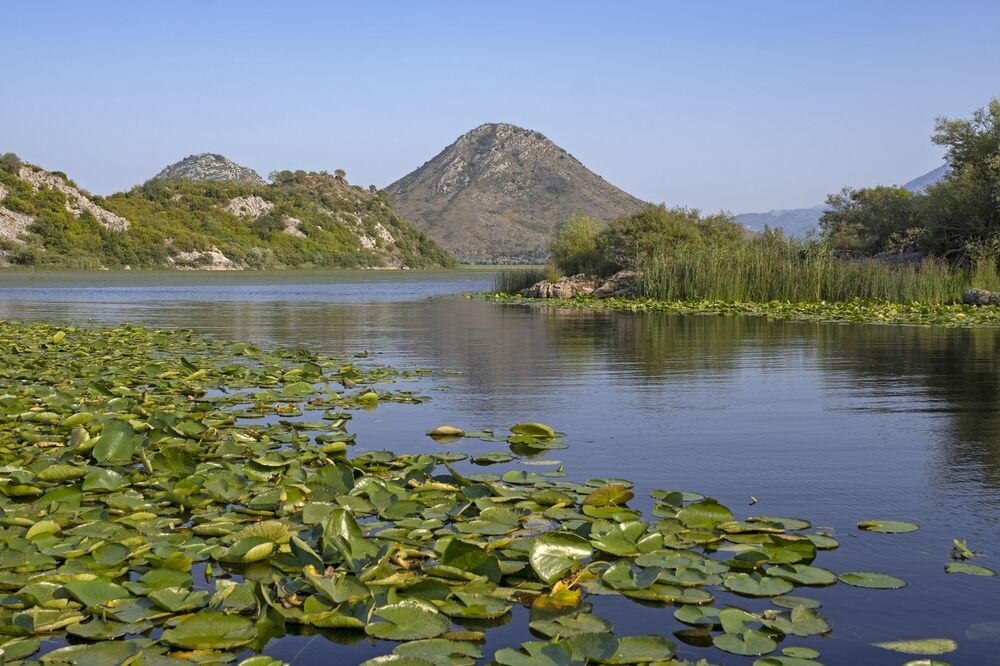Skadarsko jezero 