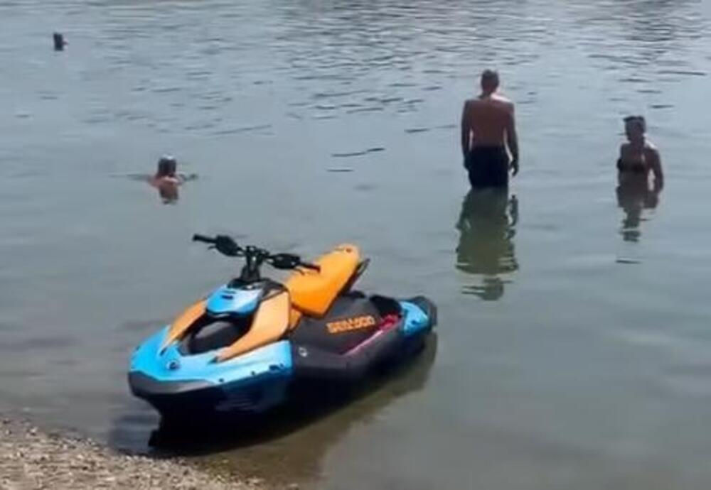 DA LI JE OVO OGROMAN PACOV U PLIĆAKU NA ADI? Ljudi se kupaju, a OVA ŽIVOTINJA prilazi bez problema - ŠTA LI JE TO?!