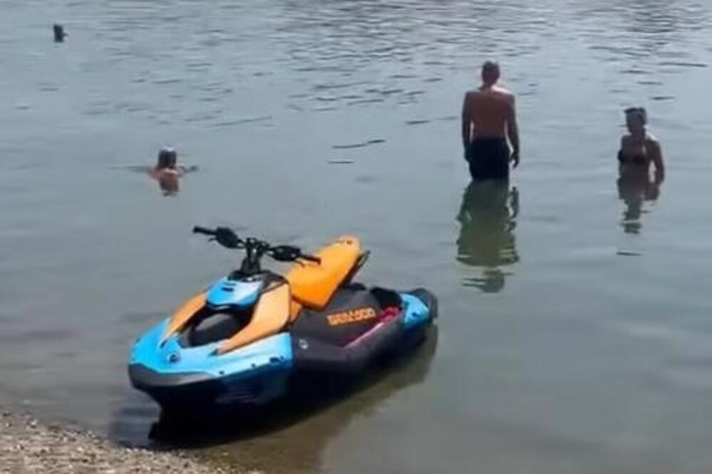 DA LI JE OVO OGROMAN PACOV U PLIĆAKU NA ADI? Ljudi se kupaju, a OVA ŽIVOTINJA prilazi bez problema - ŠTA LI JE TO?!