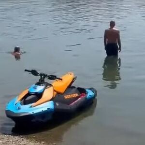 DA LI JE OVO OGROMAN PACOV U PLIĆAKU NA ADI? Ljudi se kupaju, a OVA ŽIVOTINJA prilazi bez problema - ŠTA LI JE TO?!