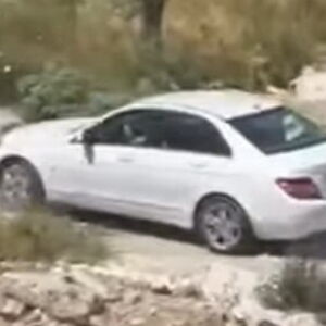 Horor u Ulcinju: Žena autom pregazila psa nakon što je njen ljubimac napadnut! Pokušala da pobegne iz države