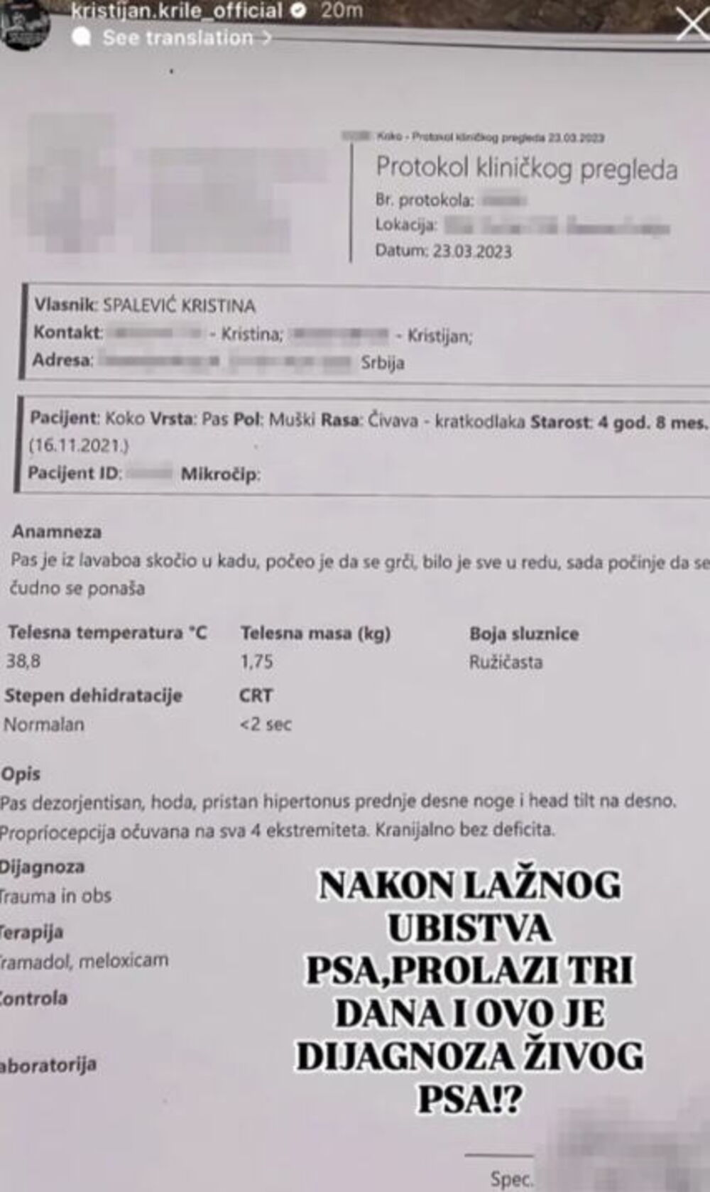 ISPLIVAO IZVEŠTAJ: Nakon optužbi za zlostavljanje psa pojavio se ovaj dokument