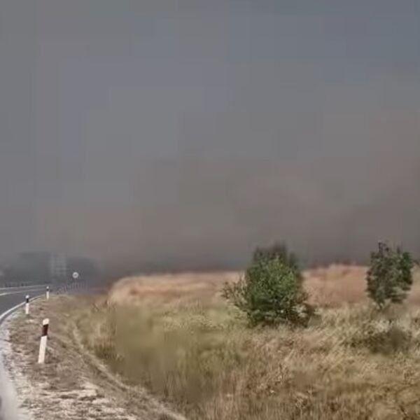 Drama na putu između Ljubičevca i Kamenice: Vatra guta sve pred sobom! (VIDEO)
