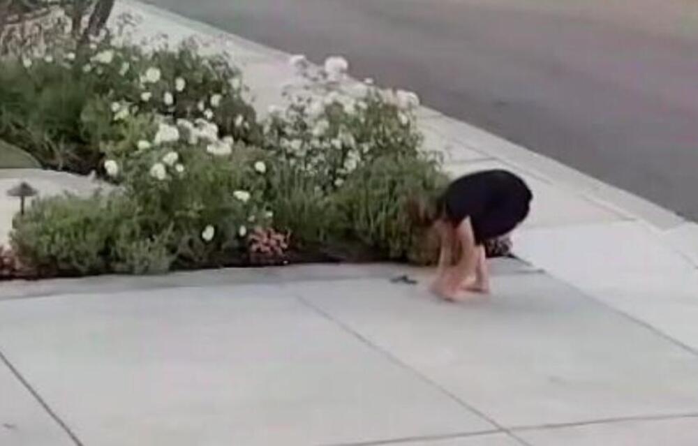 Ženu ujela zmija otrovnica dok je sekla ruže! Osetila peckanje po prstima i licu, a onda je usledio horor (VIDEO)
