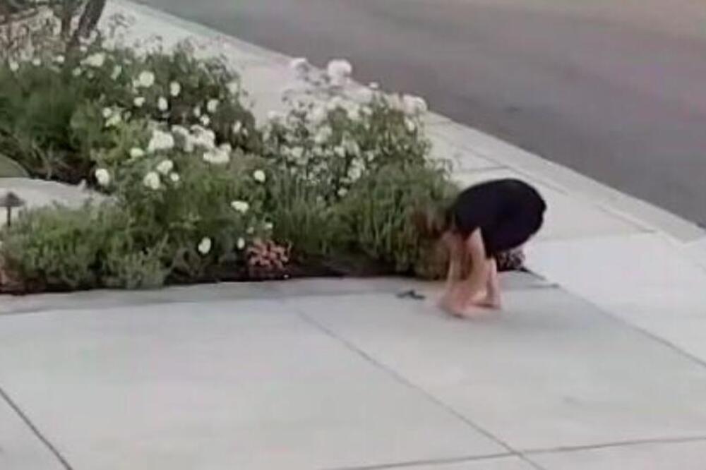 Ženu ujela zmija otrovnica dok je sekla ruže! Osetila peckanje po prstima i licu, a onda je usledio horor (VIDEO)