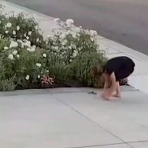 Ženu ujela zmija otrovnica dok je sekla ruže! Osetila peckanje po prstima i licu, a onda je usledio horor (VIDEO)
