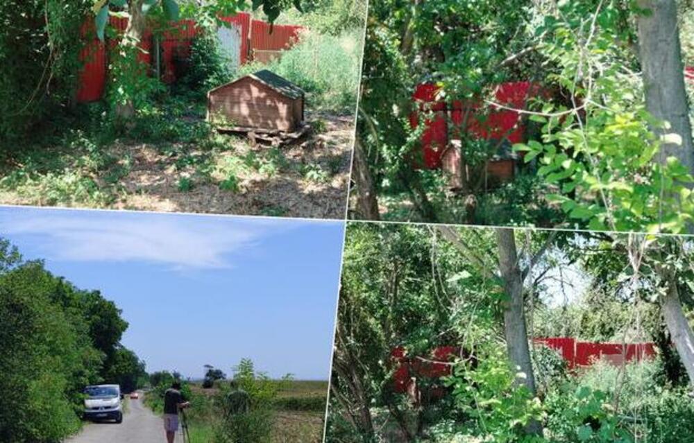 Prve slike sa mesta pucnjave u Batajnici: Na terenu inspektori i forenzičari, ovde je ranjen vlasnik azila (FOTO)