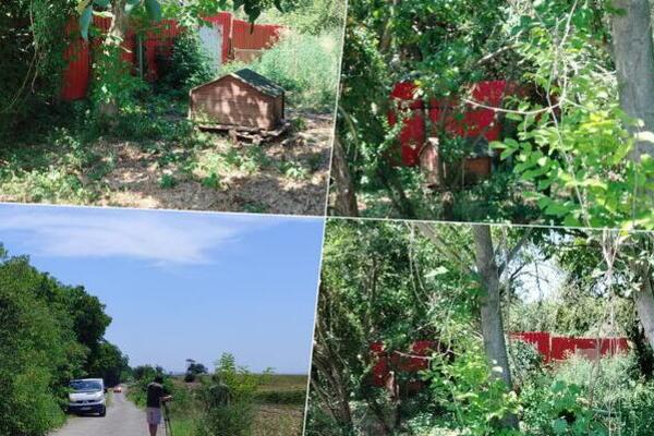 Prve slike sa mesta pucnjave u Batajnici: Na terenu inspektori i forenzičari, ovde je ranjen vlasnik azila (FOTO)