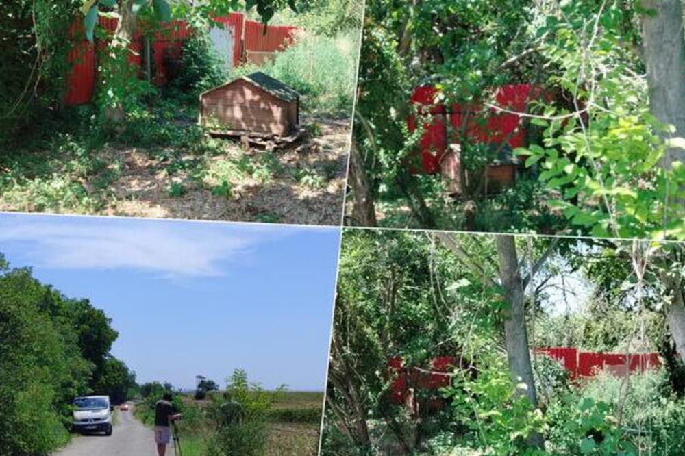 Prve slike sa mesta pucnjave u Batajnici: Na terenu inspektori i forenzičari, ovde je ranjen vlasnik azila (FOTO)