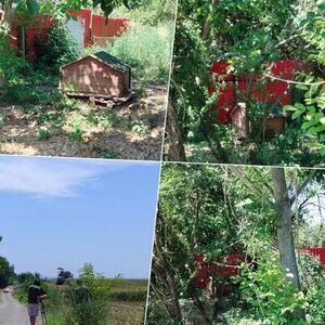 Prve slike sa mesta pucnjave u Batajnici: Na terenu inspektori i forenzičari, ovde je ranjen vlasnik azila (FOTO)