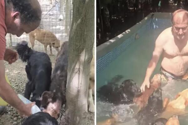 Dragan iz Batajnice je posvetio život spasavanju životinja, a dočekao ga metak: Ljudi ne veruju šta se desilo!