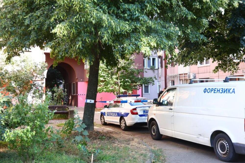 Zajedno isplanirali horor, pa otišli u smrt?! Brat i sestra ostavili oproštajna pisma pre užasa na Bežanijskoj kosi