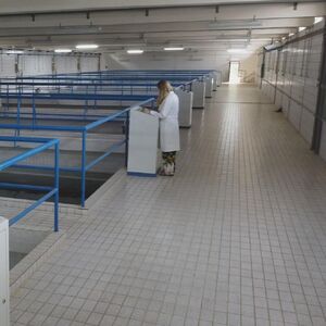 Alarm zbog opadanja i ove reke: Građanima upućeno hitno upozorenje