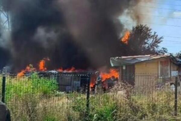PRVE SLIKE VELIKOG POŽARA NA BEŽANIJSKOJ KOSI: Gust crni dim prekrio naselje, vatrogasci na terenu (FOTO)