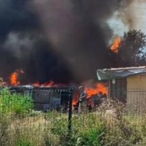 PRVE SLIKE VELIKOG POŽARA NA BEŽANIJSKOJ KOSI: Gust crni dim prekrio naselje, vatrogasci na terenu (FOTO)