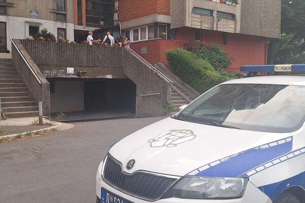 PREKLINJALA GA DA STANE! Evo kako je teklo ubistvo doktorke na Novom Beogradu! Zoran (57) je tukao do smrti