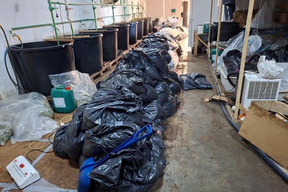 PRIPADNICI SAJ-a UPALI U TAJNU LABORATORIJU ZA DROGU U SMEDEREVU: Zaplenjeno POLA TONE narkotika! (FOTO)