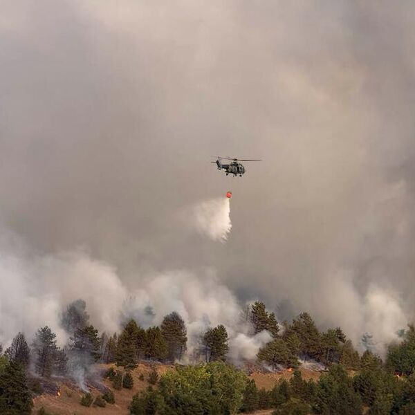 Dobre vesti o požaru u Deliblatskoj peščari! Oglasio se Čaušić