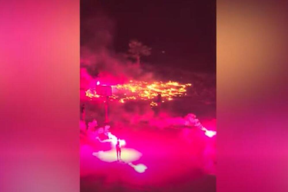 "JA BIH OVO ODMAH HAPSIO": Palili baklje po Stepi pa zapalili sve oko sebe! Snimak razbesneo Beograđane