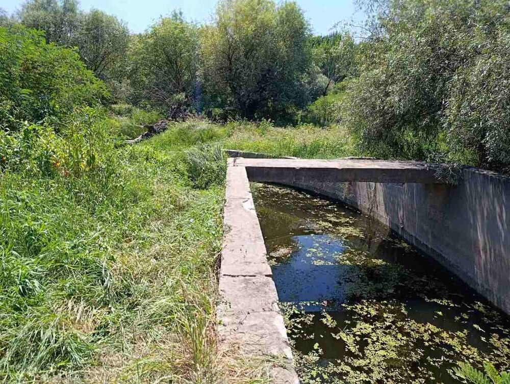 KAKO DA SPASITE ŽIVOT OD MULJA? Ovako je stradao mladić (28) u Borči! Ne prilazite OVIM mestima