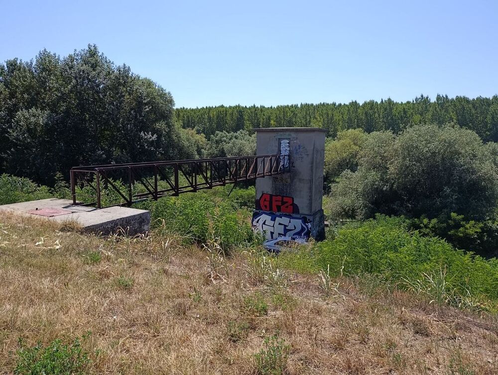 Borča