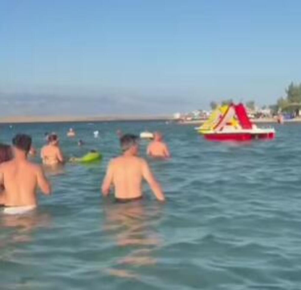 "MARŠ TI IZ MORA" Snimak sa hrvatske plaže ZAVADIO NACIJU, narod van sebe - "BEŠTIJA SE KUPA MEĐU LJUDIMA" (VIDEO)