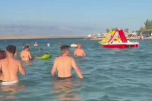 "MARŠ TI IZ MORA" Snimak sa hrvatske plaže ZAVADIO NACIJU, narod van sebe - "BEŠTIJA SE KUPA MEĐU LJUDIMA" (VIDEO)