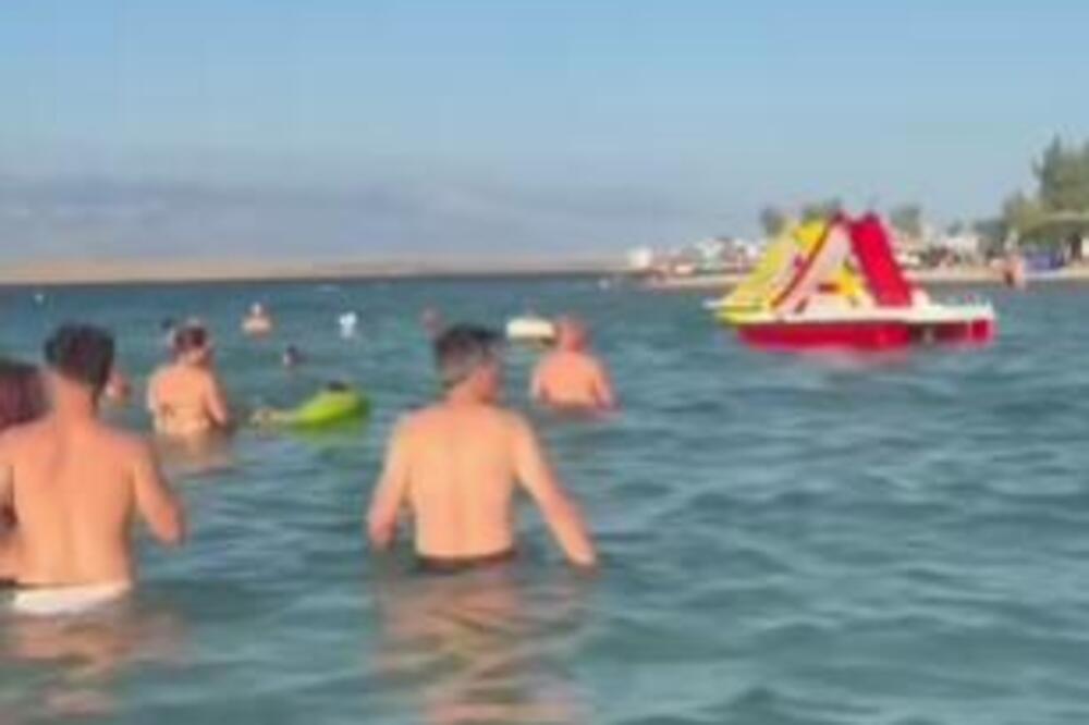 "MARŠ TI IZ MORA" Snimak sa hrvatske plaže ZAVADIO NACIJU, narod van sebe - "BEŠTIJA SE KUPA MEĐU LJUDIMA" (VIDEO)