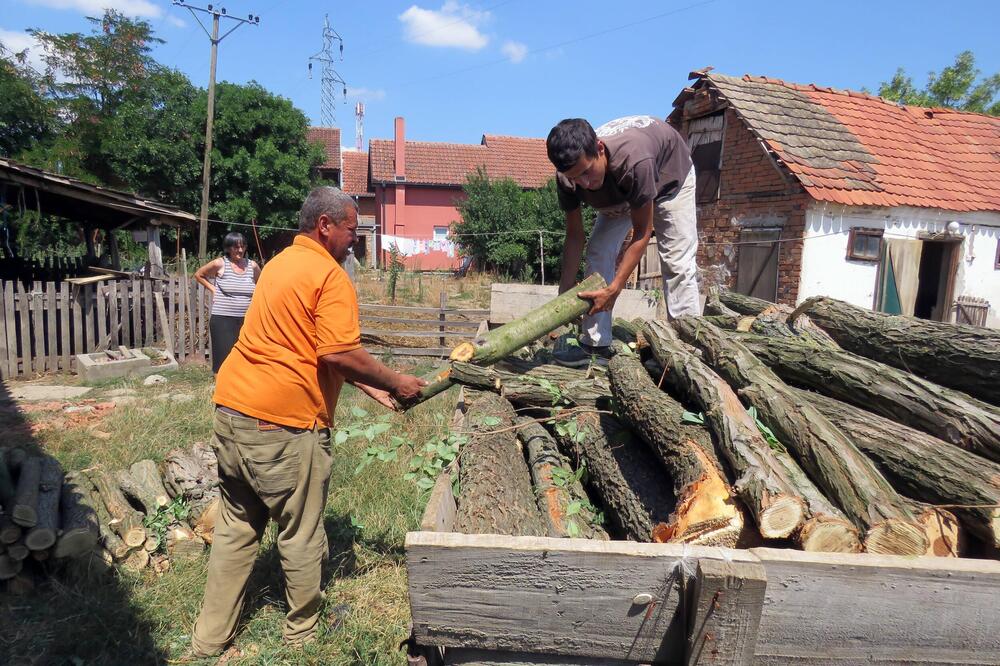 Drva za ogrev složio je na 2 različita načina: Jedna su se lepo osušila, druga ostala puna vlage, ovde Srbi greše