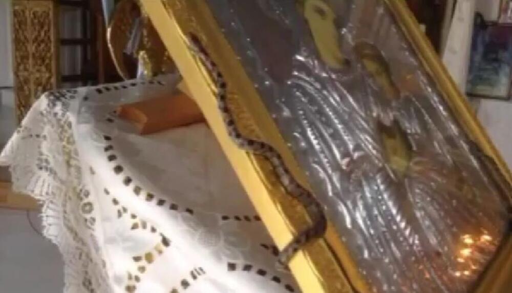 ZMIJE OTROVNICE se pojavljuju pred VELIKU GOSPOJINU, pa MISTERIOZNO NESTAJU! Razmile se po hramu, a VERUJE SE DA...