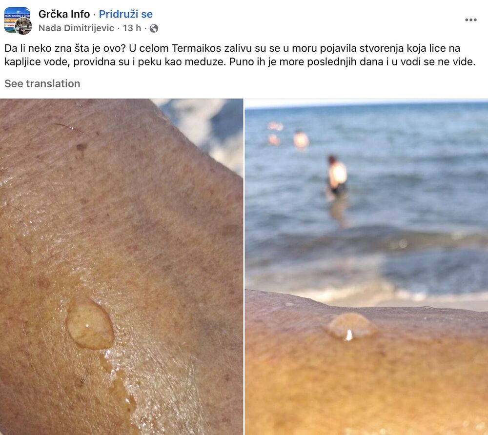 Meduza