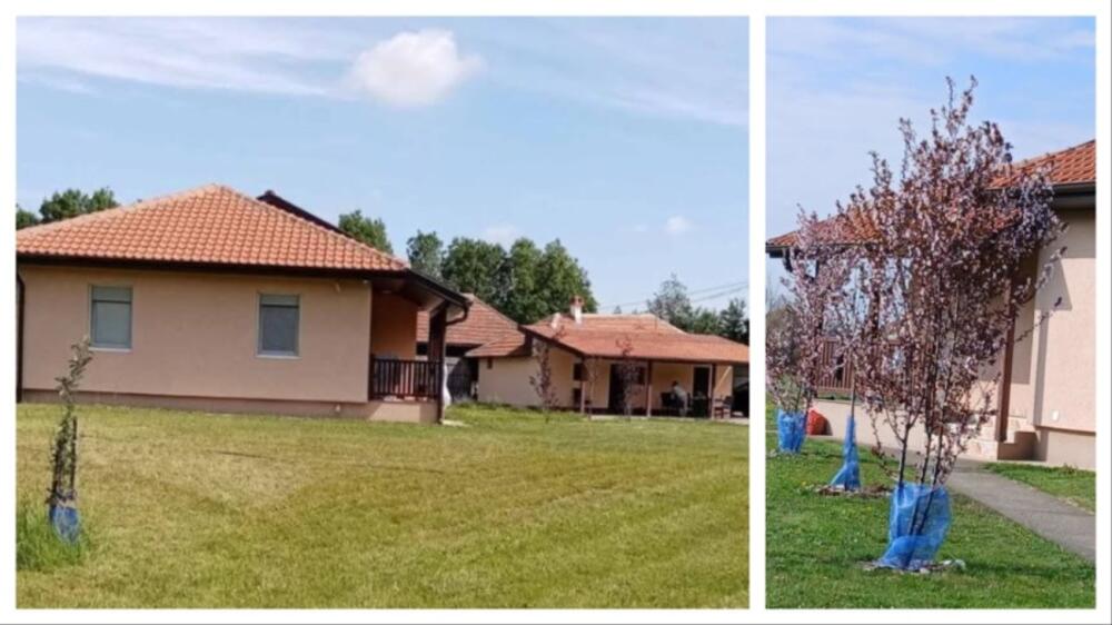 Prodaje se porodično imanje kod Toplole! 2 kuće, 58 ari, voćnjak, a sve stvoreno za decu i igru, odmah useljivo
