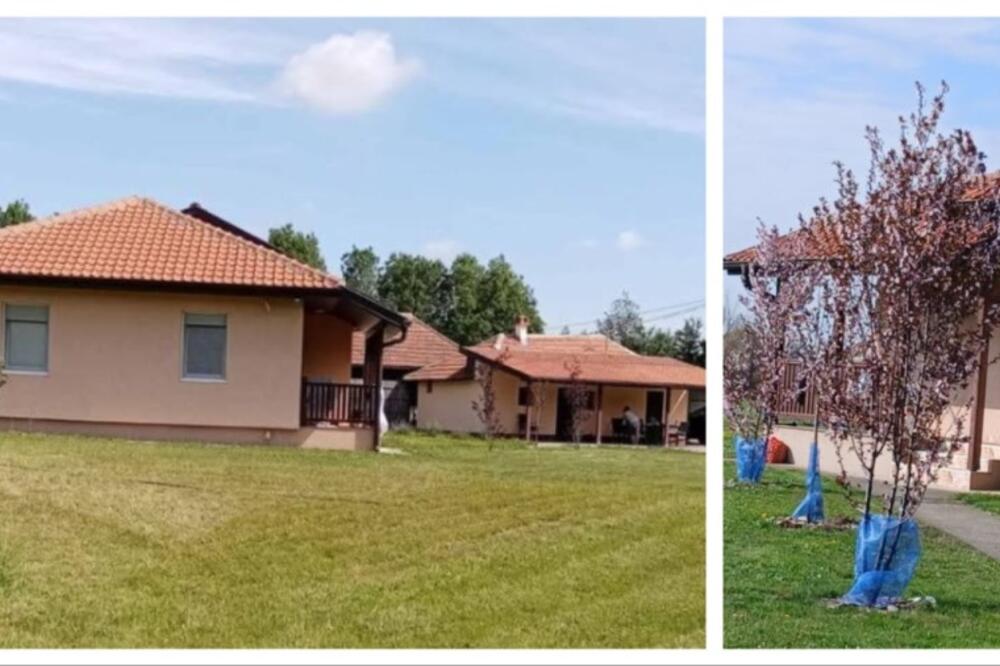 Prodaje se porodično imanje kod Toplole! 2 kuće, 58 ari, voćnjak, a sve stvoreno za decu i igru, odmah useljivo