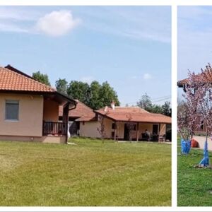 Prodaje se porodično imanje kod Toplole! 2 kuće, 58 ari, voćnjak, a sve stvoreno za decu i igru, odmah useljivo