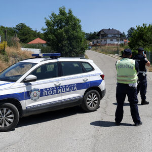 VOZAČ KOJI JE BIO POZITIVAN NA THC UDARIO U SRNU PA SE ZAKUCAO U DRVO: Užas kod Negotina, stradala ŽENA!