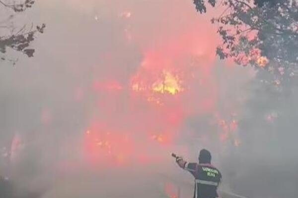 Drama na Pelješcu, BUKNUO STRAVIČAN POŽAR! Situacija je ALARMANTNA, vatrena stihija se spušta ka NASELJU (VIDEO)