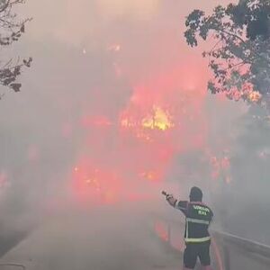 Drama na Pelješcu, BUKNUO STRAVIČAN POŽAR! Situacija je ALARMANTNA, vatrena stihija se spušta ka NASELJU (VIDEO)