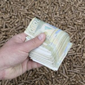 Sledeće nedelje kreće isplata 6.000 dinara: Ova grupa građana dobija novac automatski, a evo ko mora da se prijavi