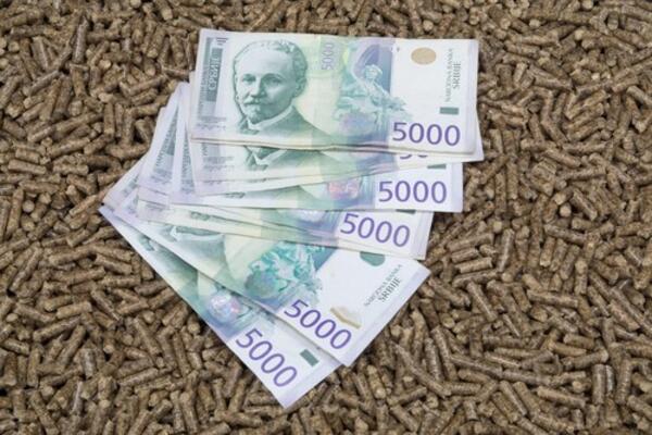 Evo koliko će nas koštati grejanje ove zime! Najpovoljniji ogrev nije za svakoga, ovaj uslov je ključan