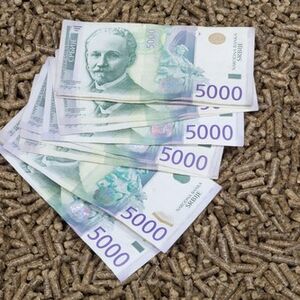 Evo koliko će nas koštati grejanje ove zime! Najpovoljniji ogrev nije za svakoga, ovaj uslov je ključan