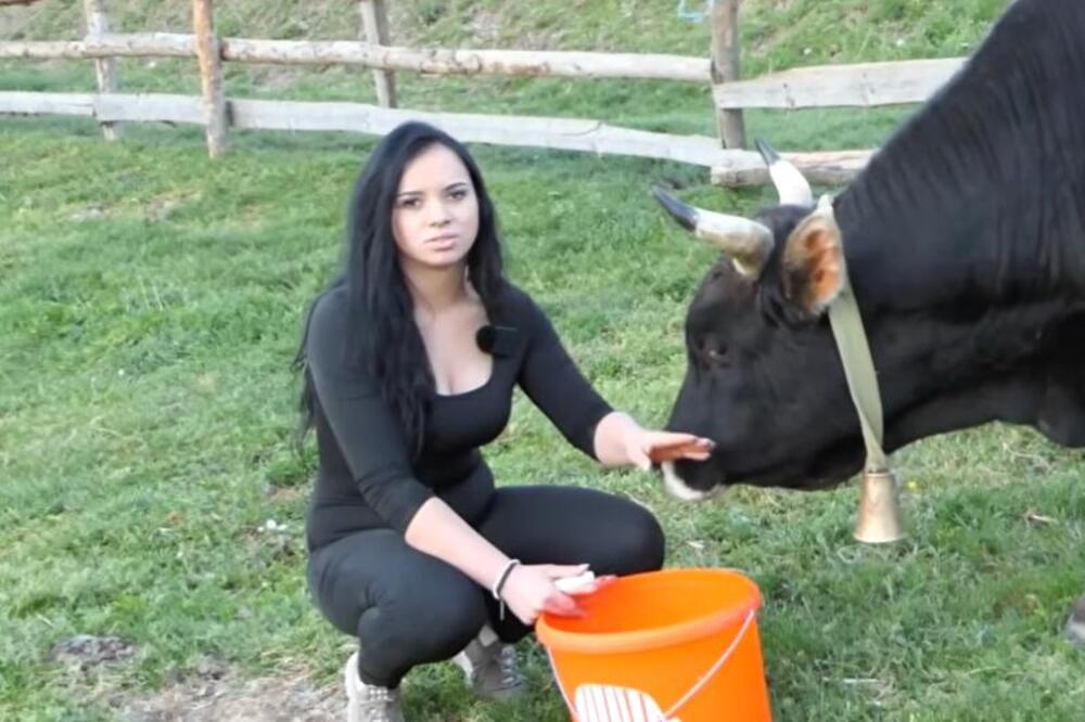 PRELEPA MLADA EMINA VOZI TRAKTOR, ŠIŠA OVCE I BRINE OD 20 KRAVA Nema čega da se STIDI: "KAD VIDIM KAKVIH SVE IMA.."
