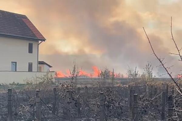 OD DIMA SE JEDVA VIDI NEBO, VATRA IDE KA KUĆAMA, VATROGASCI U VELIKOJ BORBI! Novi požar buknuo u ovom delu Srbije!