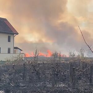 OD DIMA SE JEDVA VIDI NEBO, VATRA IDE KA KUĆAMA, VATROGASCI U VELIKOJ BORBI! Novi požar buknuo u ovom delu Srbije!