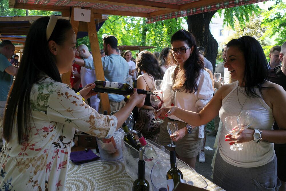 UniCredit Bank Wine Garden Summer Nights
